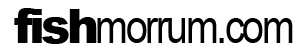 loggafishmorrumsvart