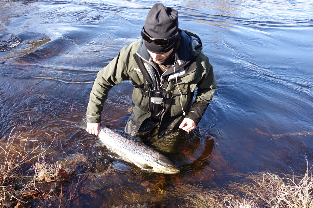 morrum-seatrout-fishing-1