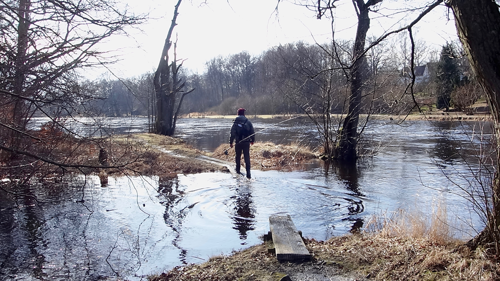 morrum-seatrout-fishing-3