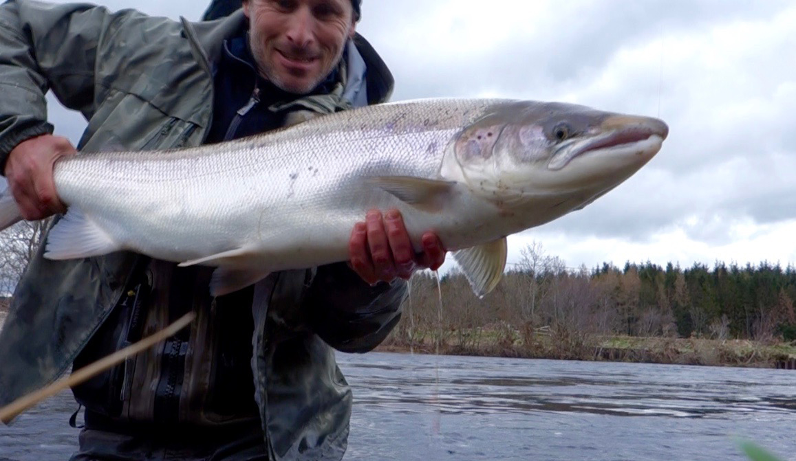 dee23lbs
