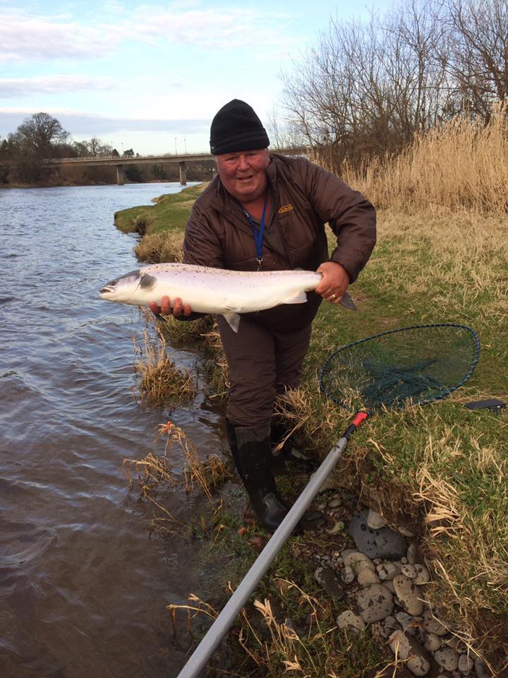 16473802_1409600579064502_8636392947489251540_n River tweed salmon fishing
