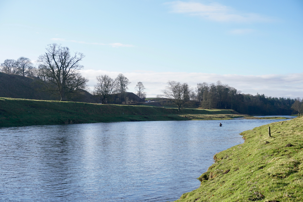 DSC05095 River tweed salmon fishing