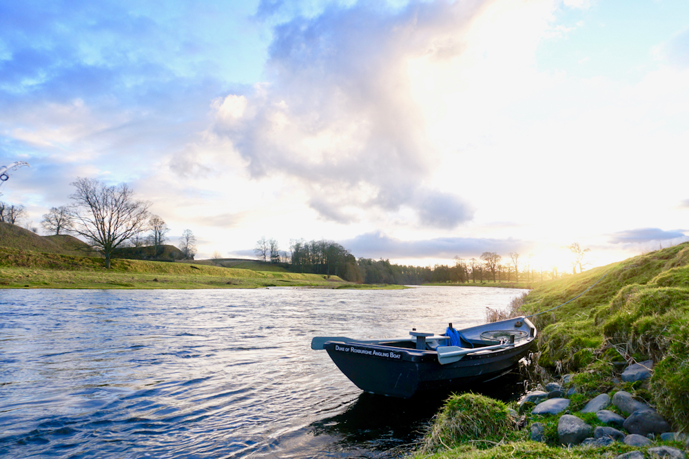 DSC05158 River tweed salmon fishing