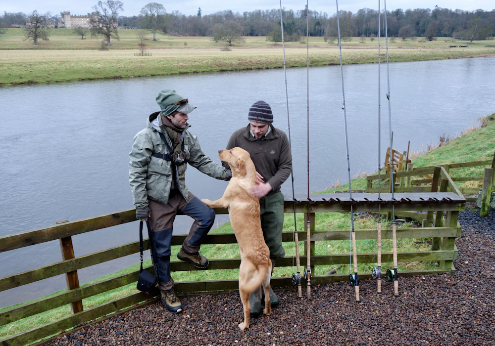 DSC08399 River tweed salmon fishing