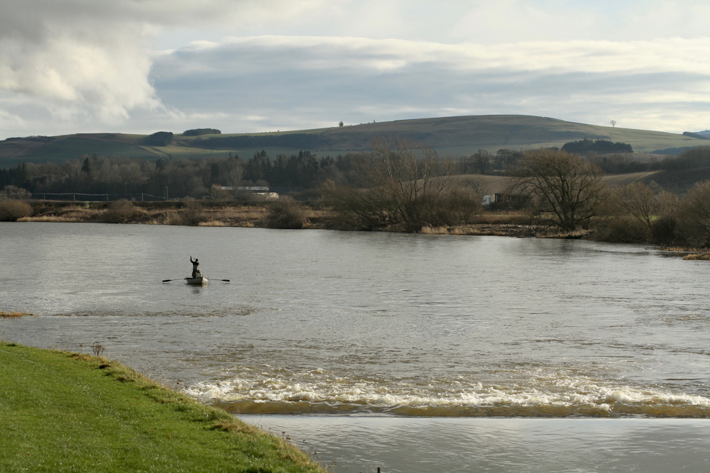 IMG_2378 River tweed salmon fishing