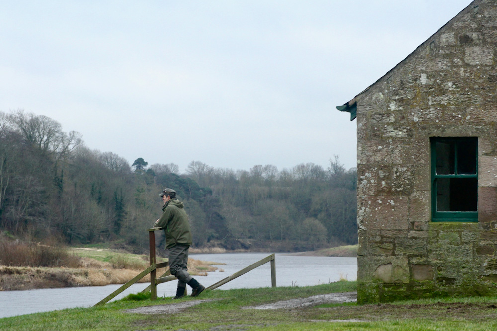 IMG_2447 River tweed salmon fishing