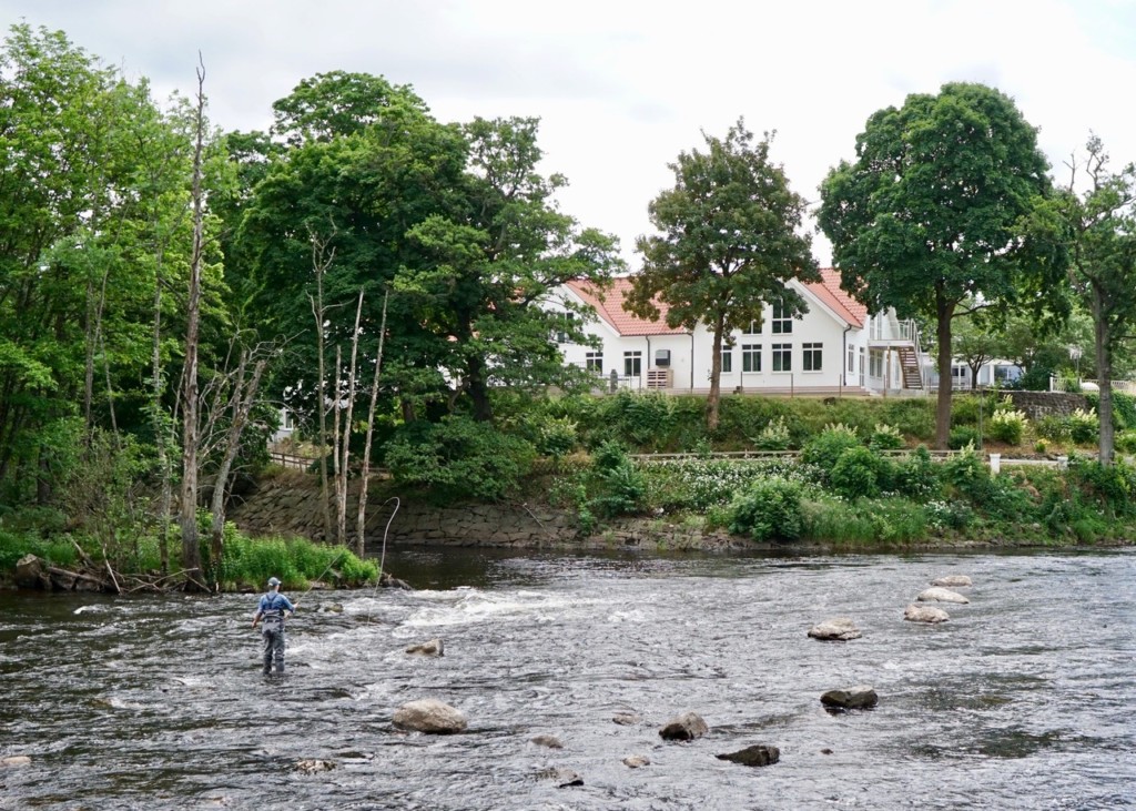 falkenberg-laxfiske-atran-