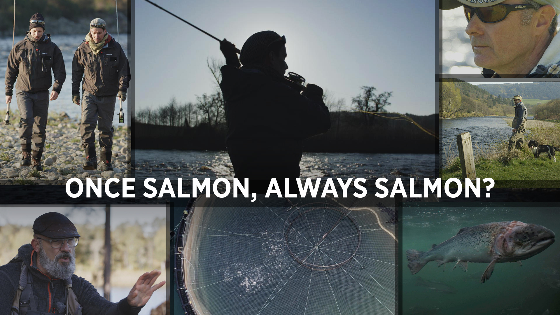 Once salmon, always salmon?